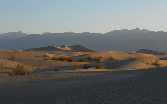 朝の砂丘遠景